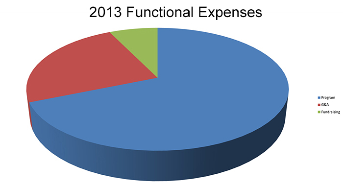 2013 Functional Expenses