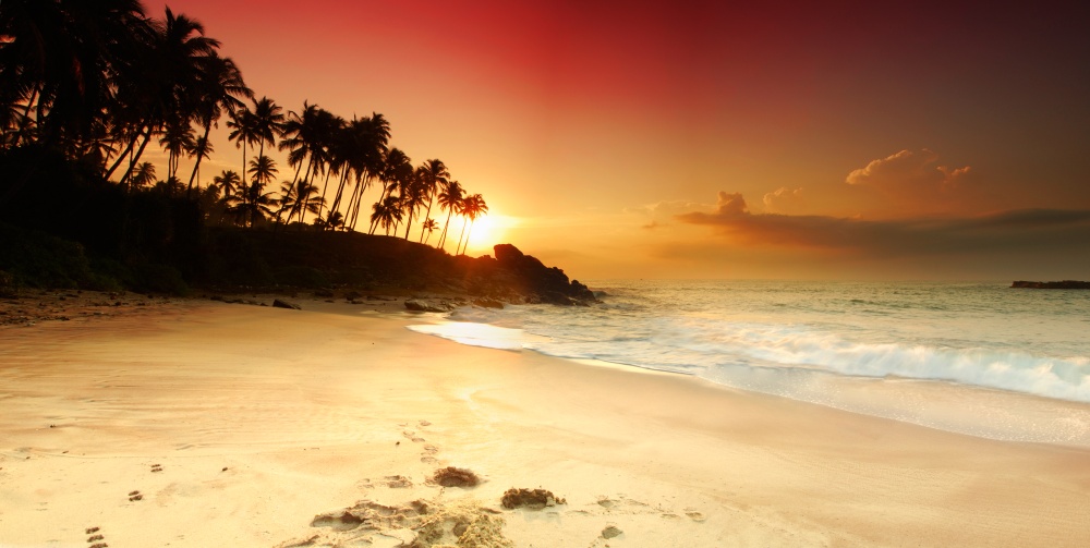 Tropical beach at sunset