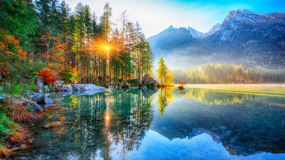 Still, glassy lake with reflection of mountains and trees. Golden sun shining through the trees. Image from Hintersee lake in the Bavarian national park Berchtesgadener Land in the German Alps.