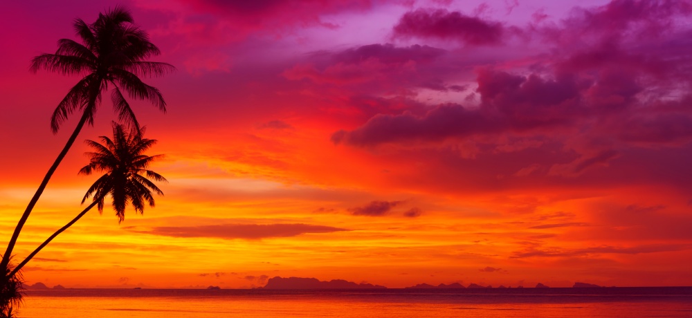 Colorful sunset over the ocean with tropical palm trees