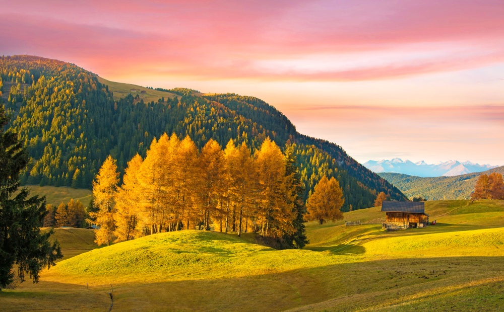 Autumn landscape with yellow larch in Alpe di Siusi in the Dolomites at sunset.