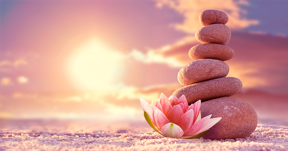 shutterstock_2486026567