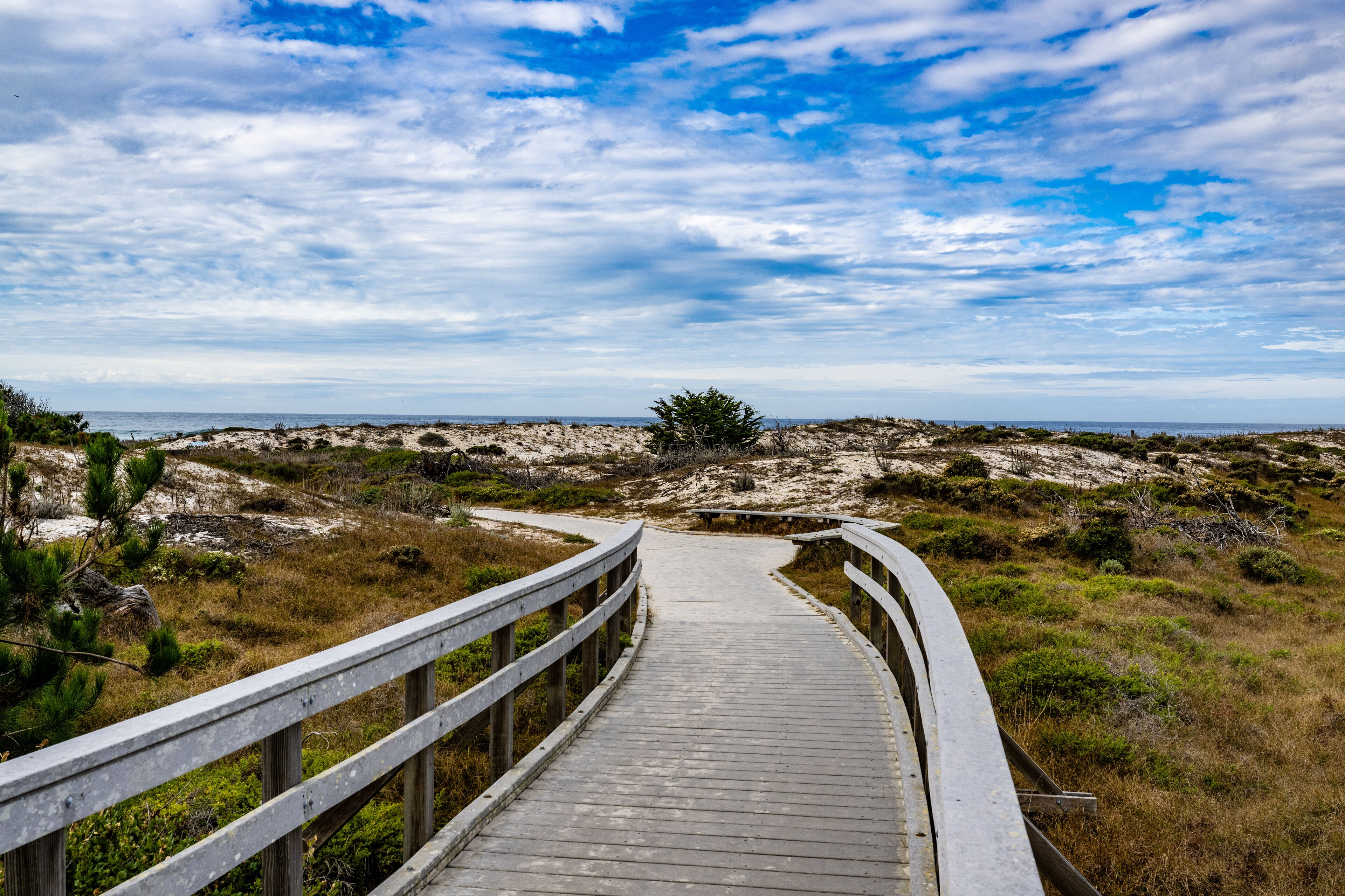 asilomar hotel and conference grounds pacific grove california