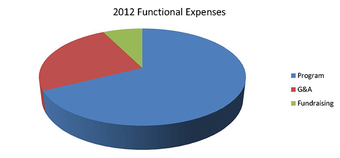 2012 Functional Expenses 2012 Functional Expenses