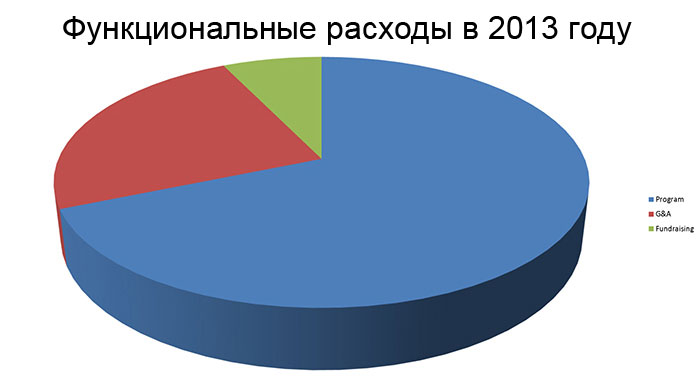 2013 Functional Expenses