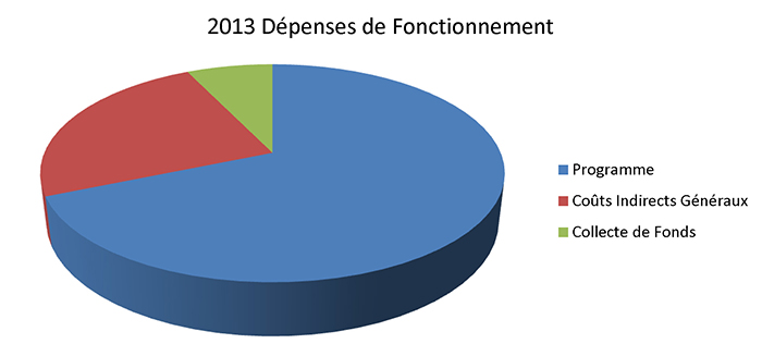 2013 Dépenses de Fonctionnement