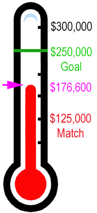 Fundraising Thermometer