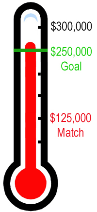 Fundraising Thermometer