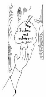 L’histoire de Joshua