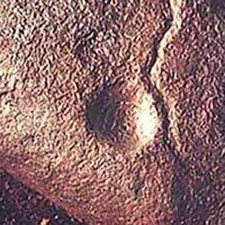 Cupule and meander petroglyph Cupule and meander petroglyph