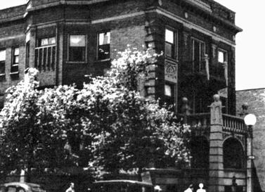 533 Diversey Parkway