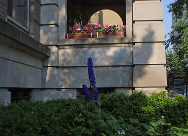 533 Diversey Parkway Garden