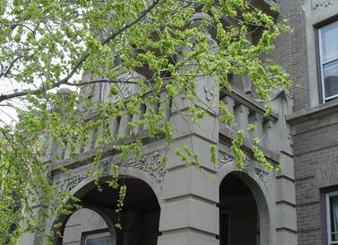 533 Diversey Parkway