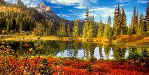 Fall in the Tatoosh Wilderness, Mount Rainier National Park by Don Paulson