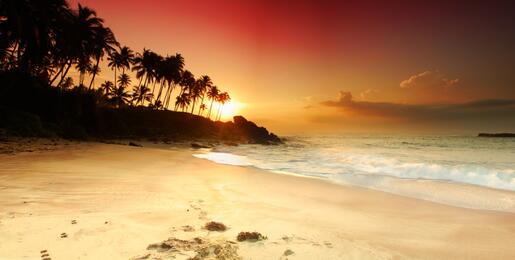Tropical beach at sunset