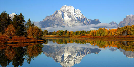 Autumn Peak at Oxbow Bend, Grand Teton National Park 