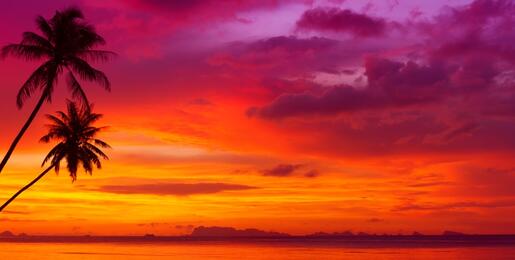 Colorful sunset over the ocean with tropical palm trees