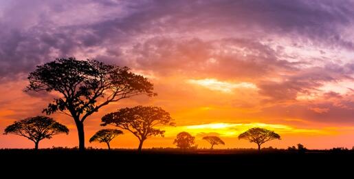 Golden and purple sunset over Masai Mara, Kenya