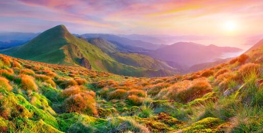 Verdant green valley with mountain peak in background and a purple and pink hued sunrise