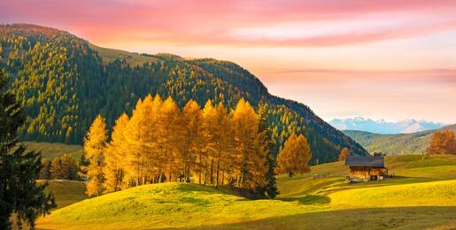 Autumn landscape with yellow larch in Alpe di Siusi in the Dolomites at sunset.