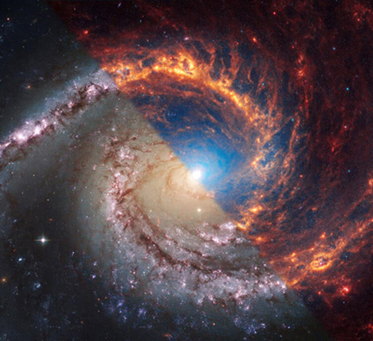 James Webb before and after NGC 1566